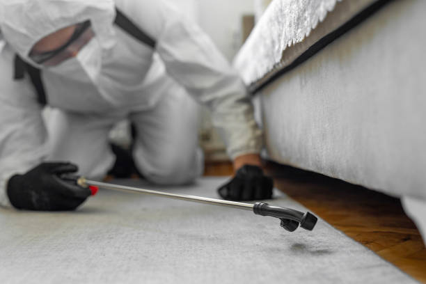 Professional Bed Bug Control technician working in St. Joseph, MI
