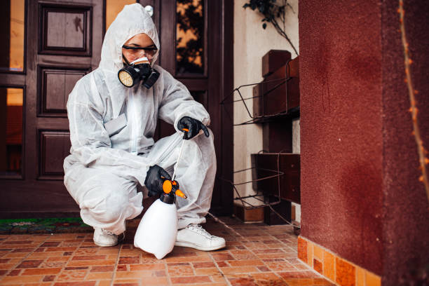 Reliable Bed Bug Control contractor in St. Joseph, MI by Nex Pest Control
